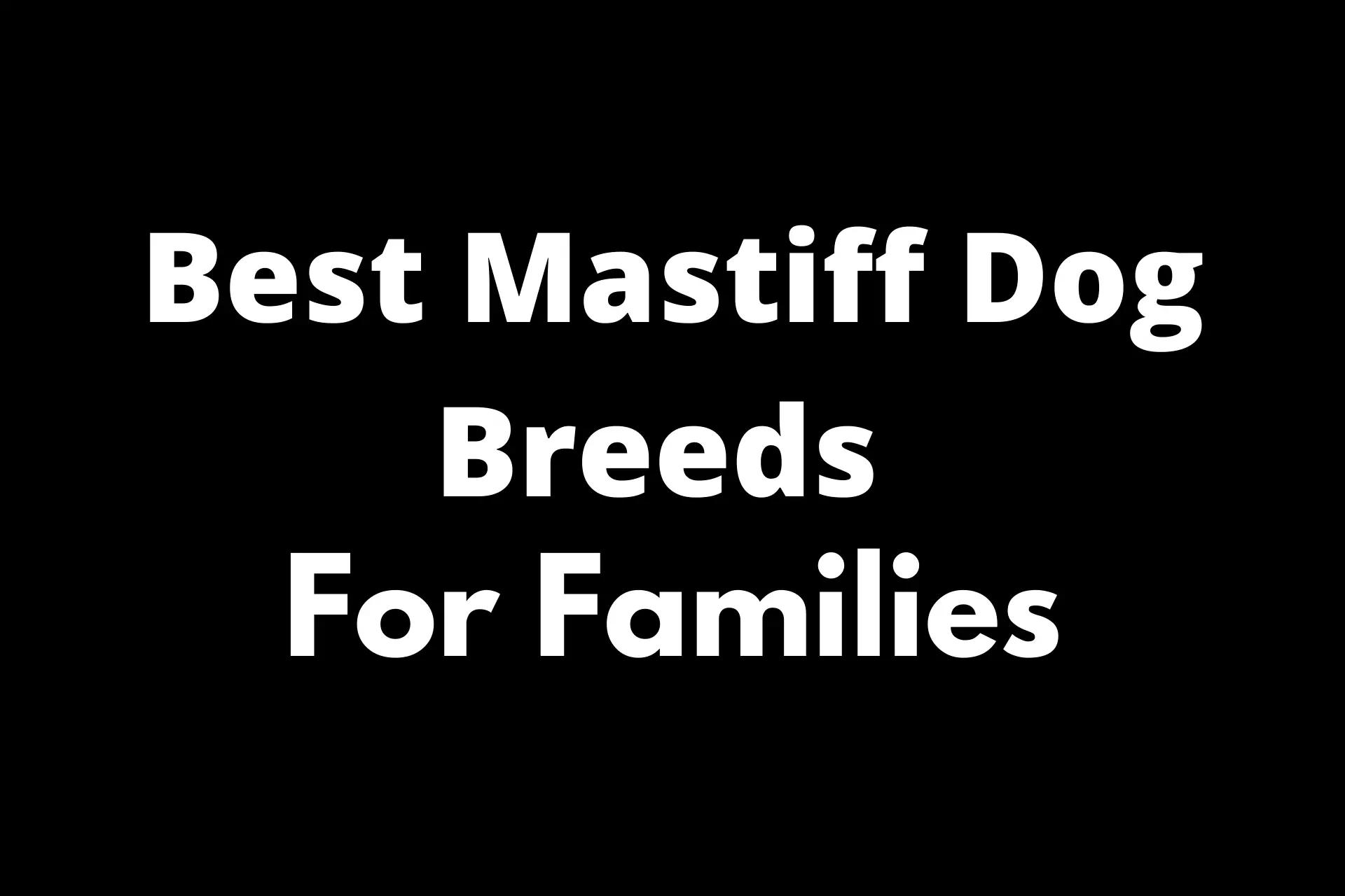 Mastiff Dog Breeds For Families