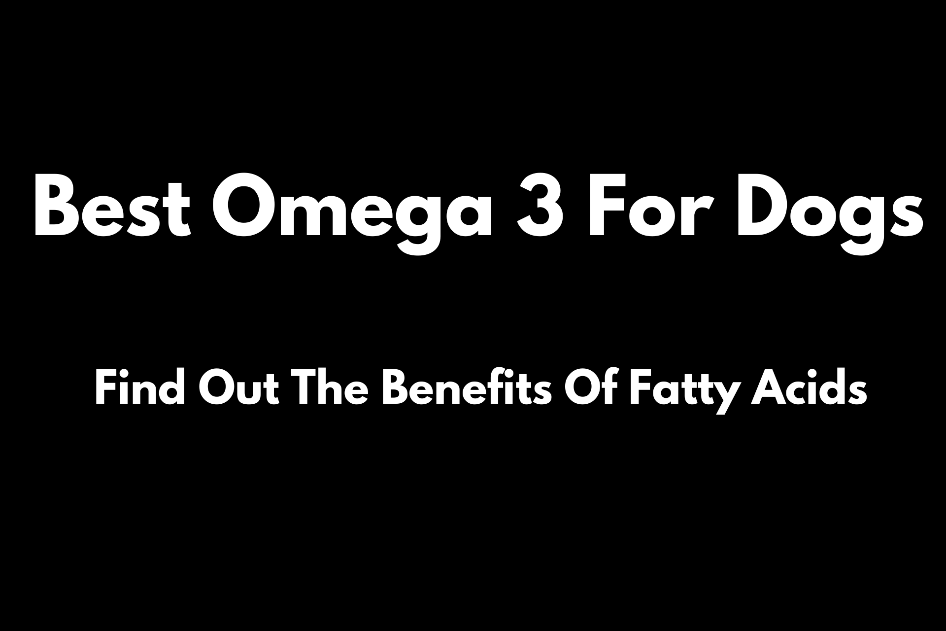 Best Omega 3 For Dogs