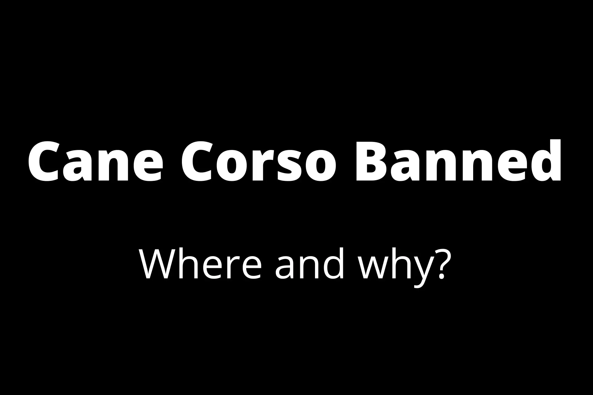 Cane Corso banned where and why