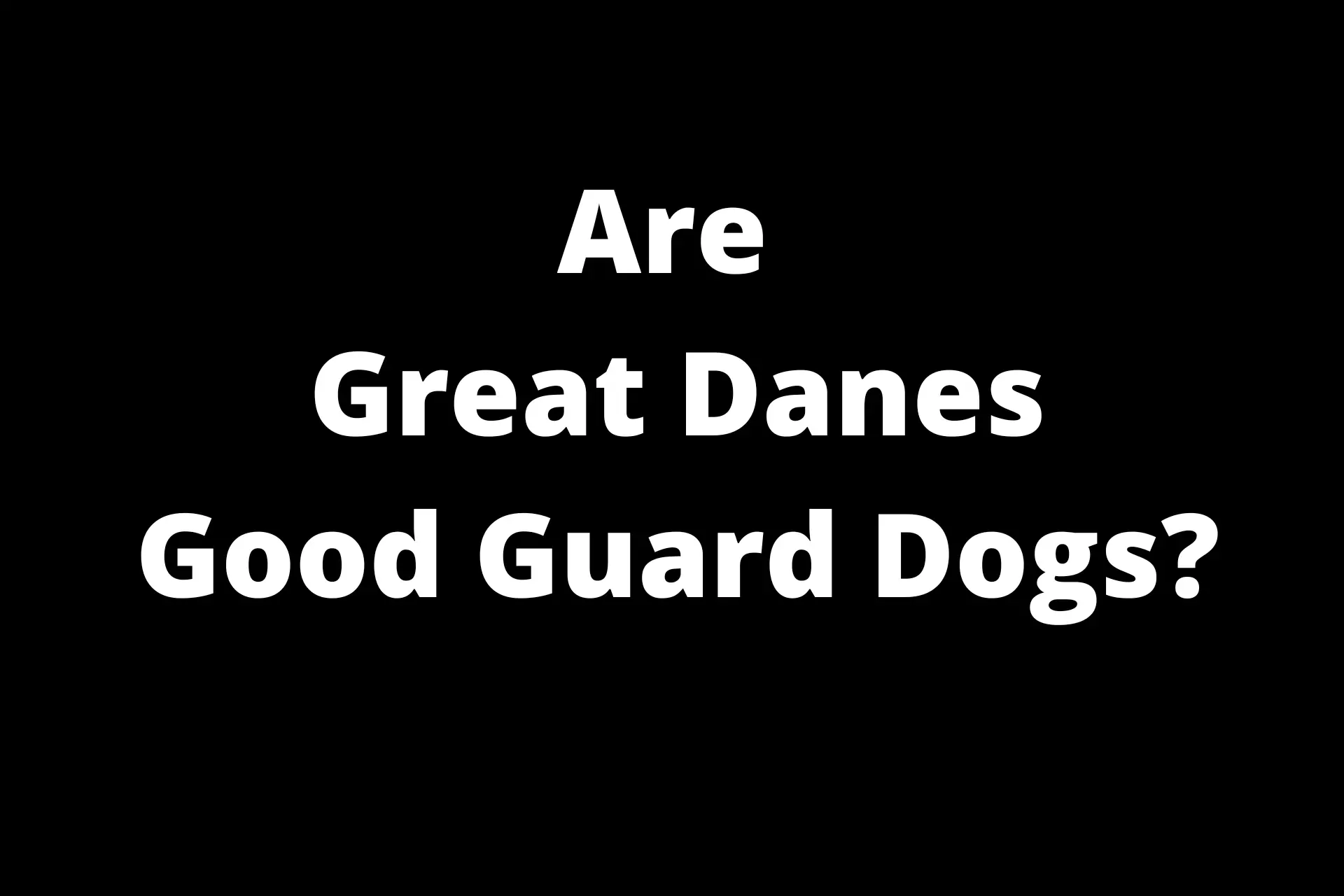 are great dane good guard dogs