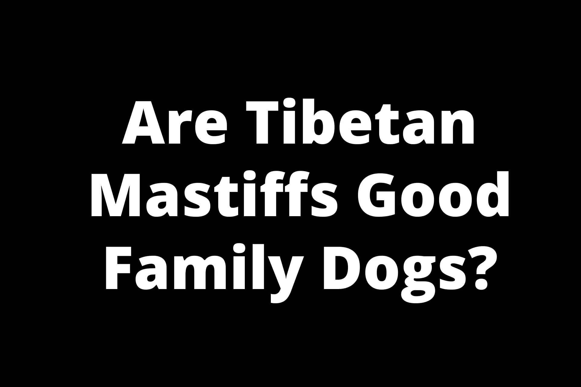 Are Tibetan Mastiffs Good Family Dogs